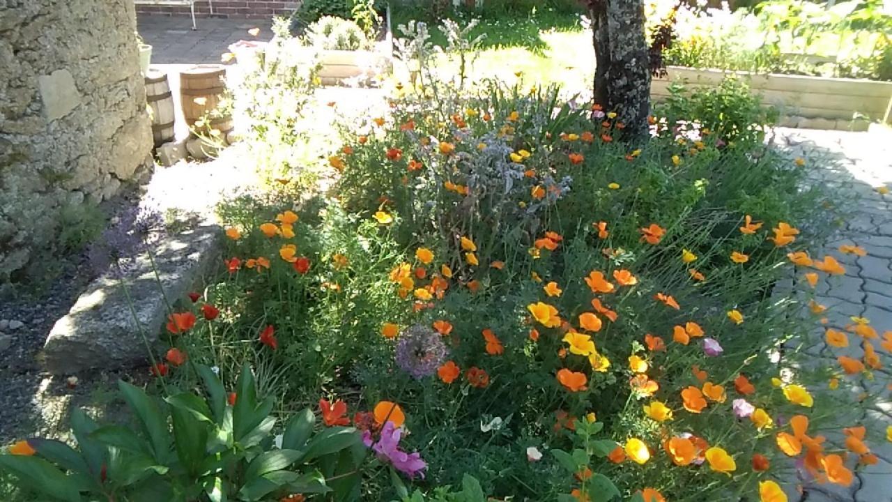 Les Tournesols Bed & Breakfast La Bernardiere Bagian luar foto