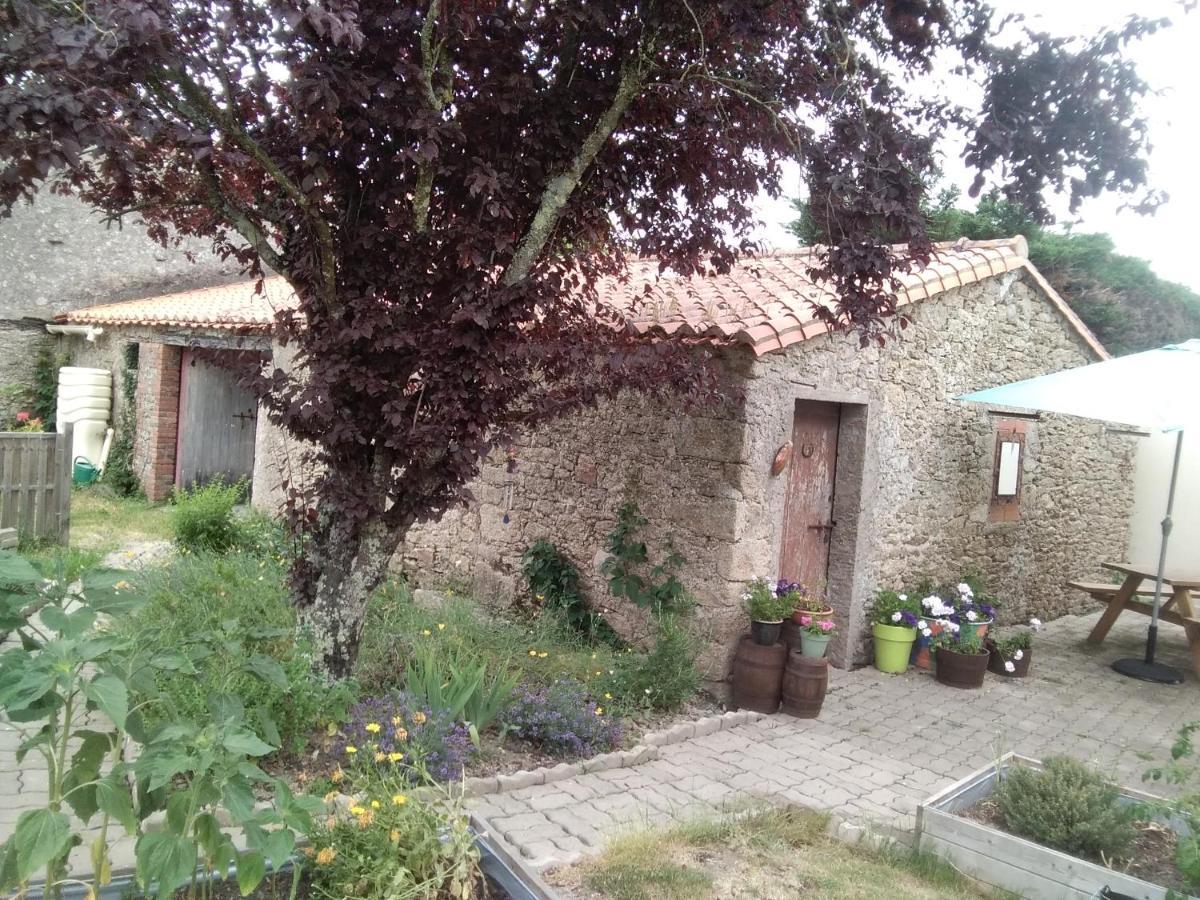 Les Tournesols Bed & Breakfast La Bernardiere Bagian luar foto